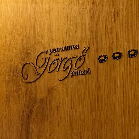 Pensiunea Goergo Panzio 게스트하우스 3*